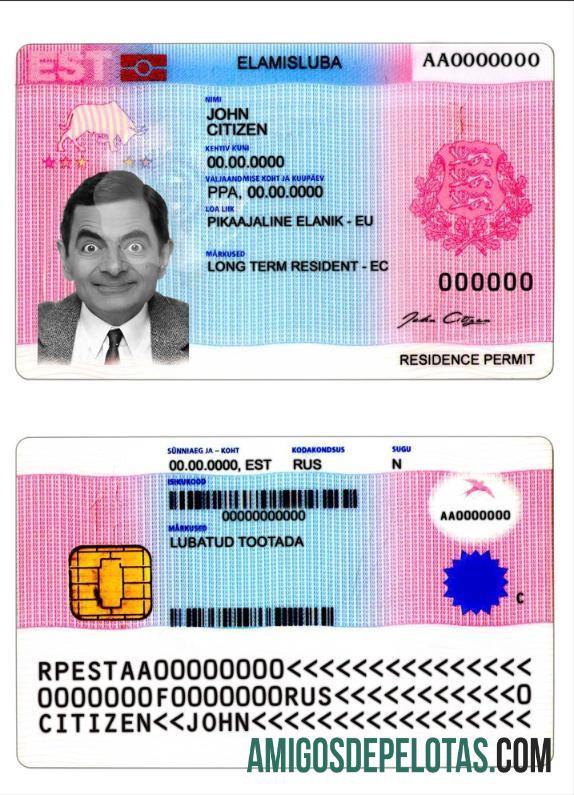 Autorização de residência na Estônia exemplo real